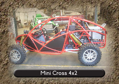 new buggy 4x4