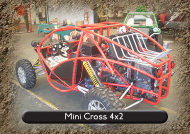 new buggy 4x4